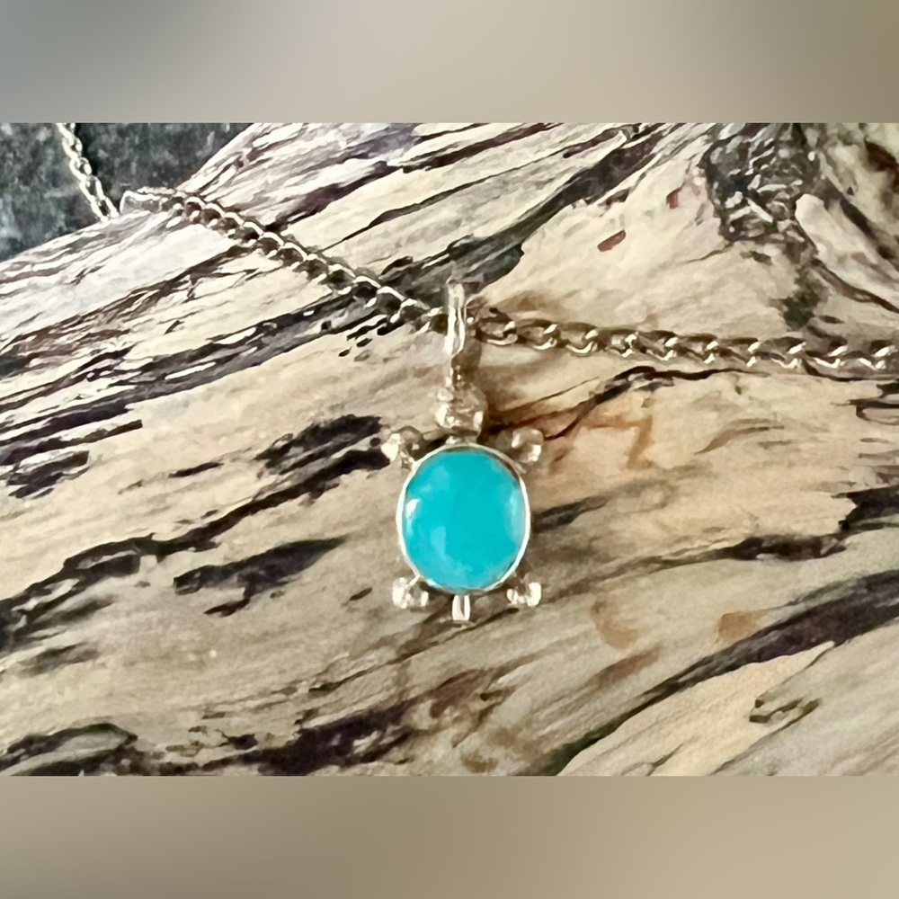 Turquoise and Silver Turtle Pendant Necklace